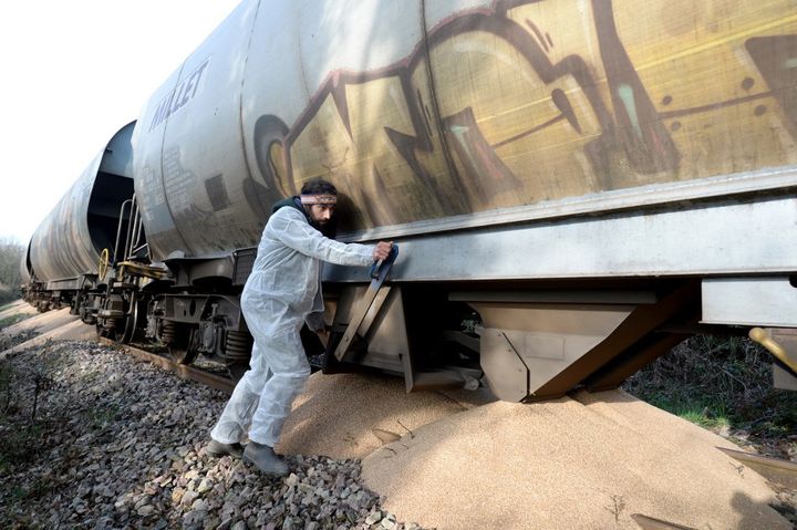 Un membre du collectif "Bretagne contre les fermes usines" déverse sur la voie du blé destiné à alimenter du bétail, le 19 mars 2022 à Saint-Gérand (Morbihan). (JEAN-FRANCOIS MONIER / AFP)