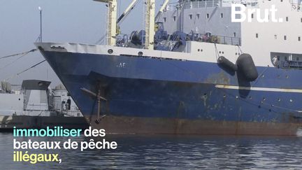 Il a reboisé des mangroves, créé des sanctuaires marins, lutté contre le trafic de bois en tant que ministre de l'Écologie de son pays natal, le Sénégal...