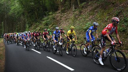 Tour de France : première étape de montagne dans les Vosges