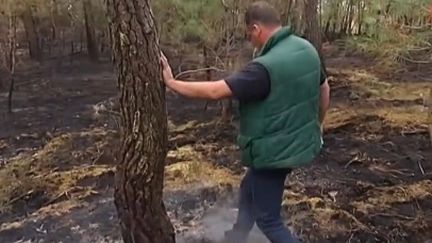 Sarthe : un incendie ravage plus de 100 hectares de forêt