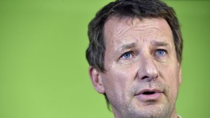 Le député européenn Yannick Jadot a remporté lundi 7 novembre la primaire écologiste et sera le candidat d'EELV à la présidentielle.&nbsp; (ALAIN JOCARD / AFP)