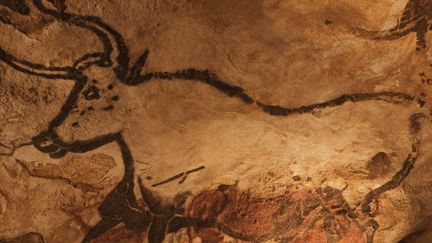 Dans la grotte de Lascaux
 (SUDRES JEAN-DANIEL / HEMIS.FR)