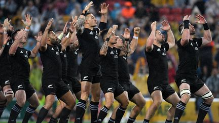 Les All Blacks et leur intimident haka, ci-contre le 21 octobre 2017 à Brisbane avant un match contre les Wallabies australiens.&nbsp; (MAXPPP)