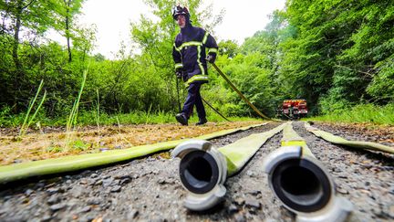 Exercice de feu de forêt des pompiers en prévision de la sécheresse qui sévit dans les Deux-Sèvres (BOUTIER JEAN ANDRE / MAXPPP)