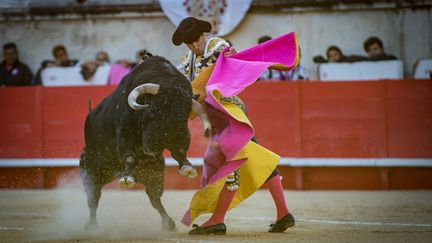 Une corrida aux arènes de Nîmes, le 18 septembre 2022. (JEANCLAUDE.AZRIA / MAXPPP)