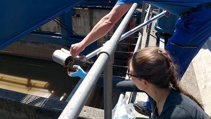 Photo non datée des chercheurs de l'institut Eawag qui analysent les effluents de l'usine de traitement des déchets Werdhölzli à Zurich (Suisse). (EAWAG / ELKE SUESS)