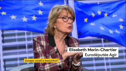 Cette semaine, depuis le Parlement européen à Bruxelles, la bande de « La faute à l’Europe? » Yann-Antony Noghès, Kattalin Landaburu et Jean Quatremer ont débattu des affaires européennes en compagnie de ses principaux acteurs.