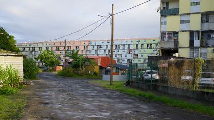 Gebäude am Stadtrand von Pointe-à-Pitre, Guadeloupe, 13. April 2014. (CEDRICK-ISHAM CALVADOS / AFP)