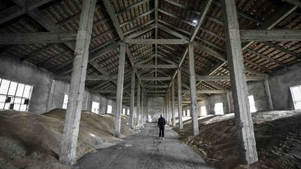 Photo prise le 29 mars dernier dans l'exploitation de Rousse en Bulgarie au moment où le gouvernement du pays de bannir certaines productions agricoles ukrainiennes (NIKOLAY DOYCHINOV / AFP)