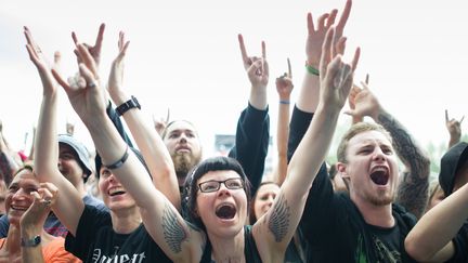 Les Eurockéennes 2014, record d'affluence 
 (Sebastien Bozon/AFP)