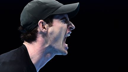 Andy Murray (GLYN KIRK / AFP)