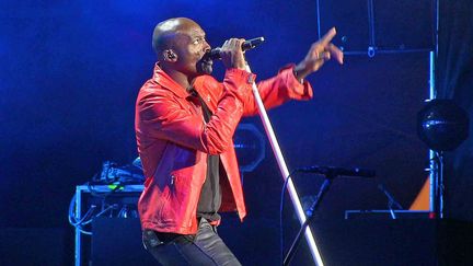 Seal a offert un show à l'américaine au public de Vienne 
 (Anne Elisabeth Philibert)