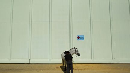 Un &eacute;cuyer andalou patiente avec son cheval avant de le pr&eacute;senter &agrave; un concours de beaut&eacute; lors du SICAB, le Salon international du cheval &agrave; Seville (Espagne), le 23 novembre 2011. (MARCELO DEL POZO / REUTERS)