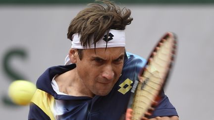 David Ferrer (DOMINIQUE FAGET / AFP)