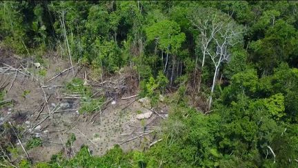 Vue aérienne du lieu d'habitation de la tribu dans la forêt amazonienne au Brésil