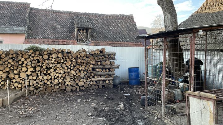 Le stock de bois d'Andrei, habitant de Zizin (Roumanie), le 29 novembre 2022. (FABIEN JANNIC-CHERBONNEL / FRANCEINFO)