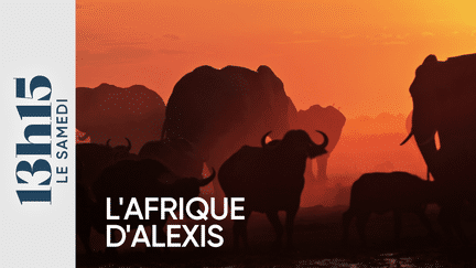 L'Afrique d'Alexis (13H15 LE SAMEDI / FRANCE 2)