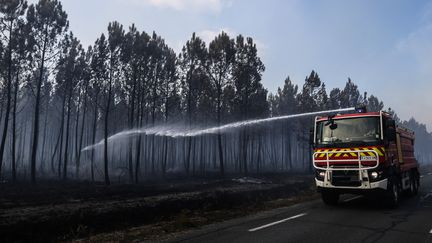 Des&nbsp;pompiers luttent contre un incendie dans le Médoc à Saumos, le 14 septembre 2022. (THIBAUD MORITZ / AFP)