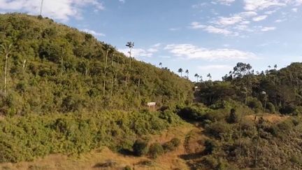 Cette semaine, direction la Colombie pour découvrir un pays devenu prisé par les touristes. (France 2)