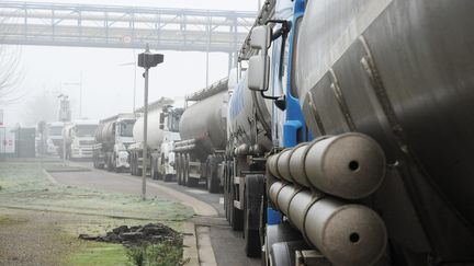 Les routiers en grève manifestent du côté du terminal pétrolier Rubis au Grand-Quevilly, le 20 janvier 2015. (Photo d'illustration) (MAXPPP)