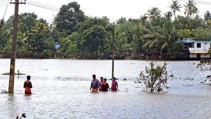 La mousson dans le Kerala, l'une des plus importantes depuis un siècle, a détruit de nombreuses habitations et&nbsp;fait plus de 410 morts. (PRAKASH ELAMAKKARA / EPA)