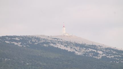 Vue du Mont Ventoux, dans le Vaucluse, le 15 février 2018. (AURÉLIE LAGAIN / FRANCE-BLEU VAUCLUSE)