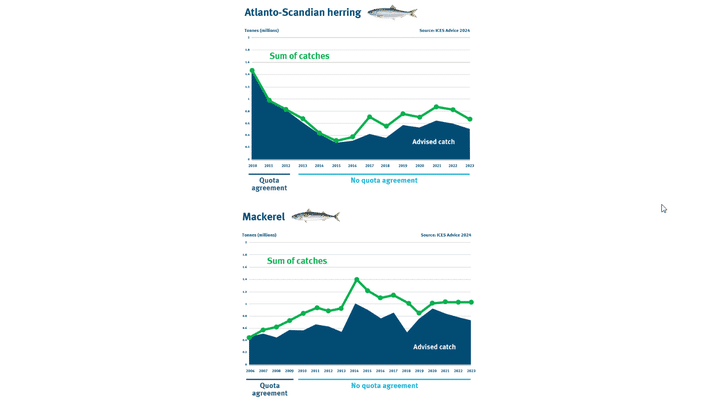 Catches of herring and mackerel (green lines) are higher each year than the recommendations of the International Council for the Exploration of the Sea (blue solids). Populations are therefore decreasing. (MARINE STEWARDSHIP COUNCIL)