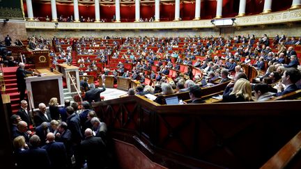 Les députés débattent du projet de loi de réforme des retraites, à l'Assemblée nationale, lundi 6 février 2023. (LUDOVIC MARIN / AFP)