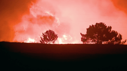 Portugal : des milliers d’hectares brûlés par de violents incendies (France 2)