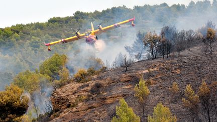 Un incendie s'est déclaré dans l'Hérault, entre Saint-Pons-de-Mauchiens et Villeveyrac mercredi 9 août 2017. (ESDOURRUBAILH / MAXPPP)