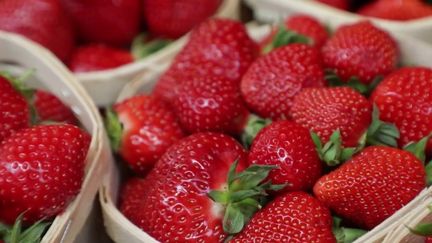 Consommation : le prix des fraises va-t-il baisser ? (France 2)