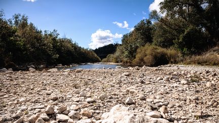 Le lit de la rivière Agly est presque à sec du fait de la sécheresse qui frappe le département des Pyrénées-Orientales (ARNAUD LE VU / HANS LUCAS)