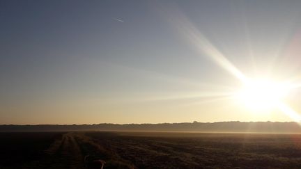 Lever de soleil sur la campagne, en région parisienne (Image d'illustration). (CECILE MIMAUT / RADIO FRANCE)