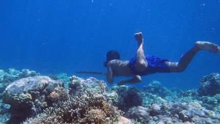 Un membre du peuple Bajau pèche à l'aide d'une lance traditionnelle, en Indonésie. (MELISSA LLARDO / MELISSA LLARDO)