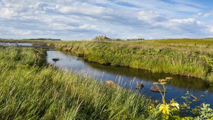 Le site canadien de L'Anse aux Meadows, le seul qui atteste la présence viking en Amérique, a été fouillé dans les années 60. Les travaux de Sarah Parcak relancent l'espoir de découvrir un deuxième site, 500 km plus au sud. (MICHAEL RUNKEL / ROBERT HARDING HERITAGE / AFP)