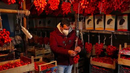 Italie : la culture des tomates sur les pentes du Vésuve