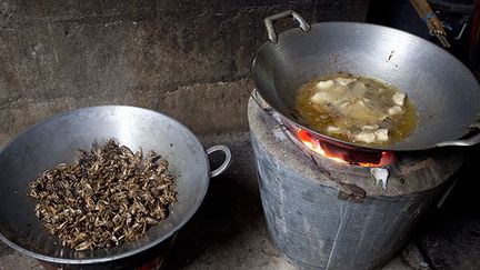 Les insectes sont la plupart du temps trempés dans différentes sauces puis frits, grillés au feu de bois, ou à la vapeur dans des feuilles. Ils peuvent aussi être incorporés dans un plat de ragoût ou de légumes. Ou dans des soupes.
 
Les épices et les herbes, comme l'ail, le basilic, le piment et la citronnelle, sont également utilisés pour parfaire la saveur et masquer l'odeur désagréable de certains insectes.
 
Au final, treize techniques de cuisson sont utilisées. (AFP/Biosphoto / Eric Ferry)