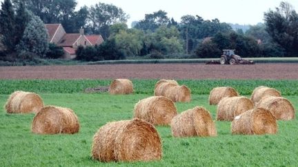 Des bottes de paille dans le nord de la France le 13 juin 2011. (Auteur AFP-Philippe Huguen)