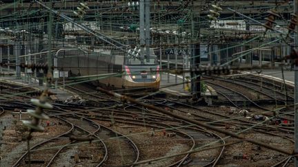 Un TGV en gare de Lille Flandres, le 3 juin 2016. (PHILIPPE HUGUEN / AFP)