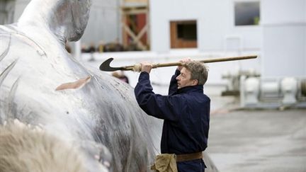 L'Islande devra certainement mettre un terme à sa traditionnelle chasse à la baleine pour intégrer l'UE (© AFP)