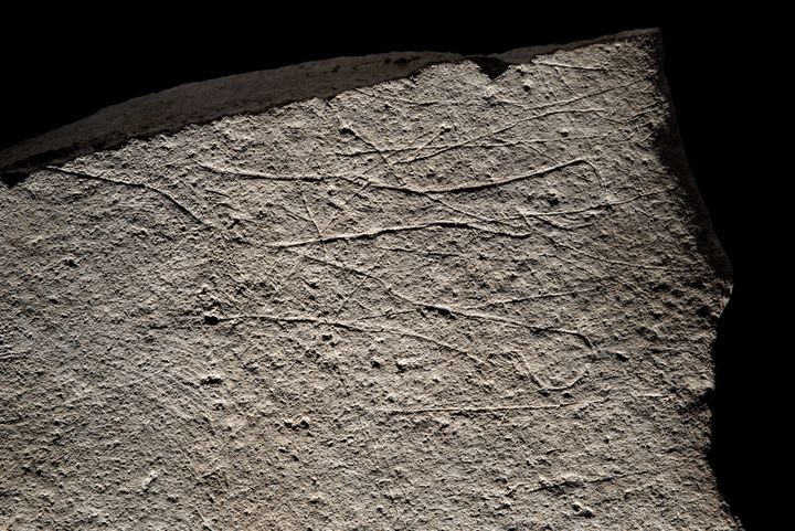 La gravure la plus visible est celle d'un cheval acéphale, dont on observe ici les pattes. (© DENIS GLIKSMAN)