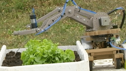 Un ado français et son robot-jardinier ont séduit Google