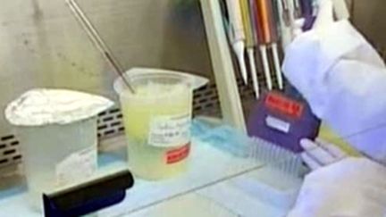 Laboratoire de test du vaccin contre la grippe A (H1N1) (© France 2)