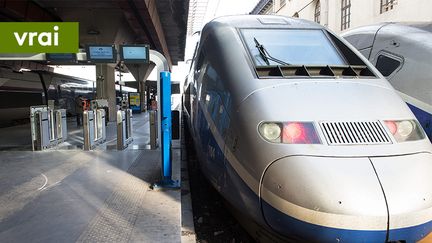 Un TGV à quai, gare Saint-Charles, à Marseille. (MAXPPP)