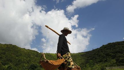 Un cultivateur transporte des paniers chargés d'argile dans une ferme à poivre. La culture des poivriers s'était effondrée sous le régime des Khmers rouges, pour connaître ensuite un renouveau dans les années 1990, avant de rechuter pour rebondir, en 2005, grâce au soutien d'une ONG. En 2010, le ministre du Commerce cambodgien avait fait un premier pas pour protéger ce poivre en lui accordant le label national IGP (Indication géographique protégée). Les prémices de la culture des poivriers remontent au 13e siècle, celle-ci n'ayant connue son apogée qu'au 19e, lors de la période coloniale. (Heng Sinith /AP)