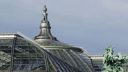 Le Grand Palais à Paris, vue des toits
 (B. RIEGER / AFP)