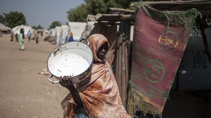 Une femme dans le camp de Bama (Nigeria), le 8 décembre 2016. (STEFAN HEUNIS / AFP)