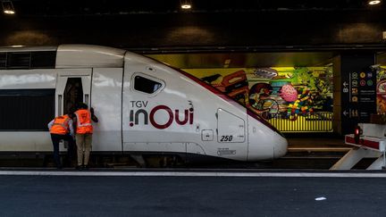 Un TGV sur le quai de la gare de Lyon, à Paris, le 17 septembre 2021.&nbsp; (DANA TENTEA / HANS LUCAS / AFP)