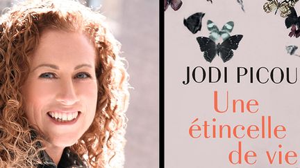 Une étincelle de vie, le nouveau roman de l'auteure américaine Jodi Picoult traitre le sujet épineux de l'avortement aux Etats-Unis.&nbsp; (Actes Sud)