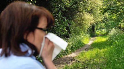 Les allergies, tous types confondus, touchent près d'un Français sur quatre. (PHILIPPE HUGUEN / AFP)